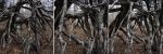 triptique arbre mort