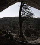 Diptique arbre grotte