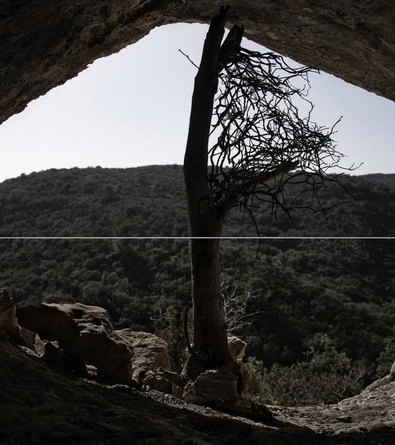 Diptique arbre grotte