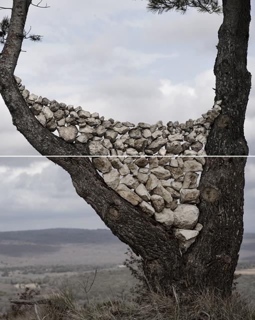diptique arbre pierres réduit