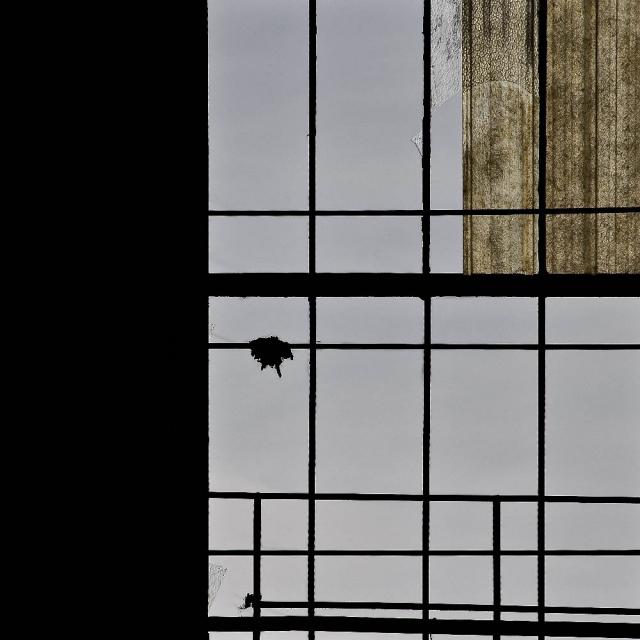 DSC_0277