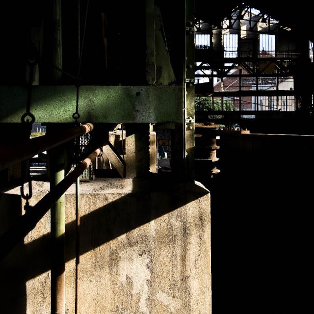 DSC_0294