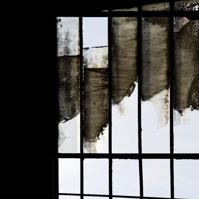 DSC_0295