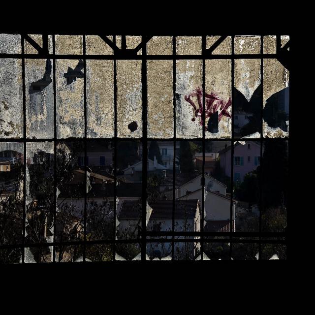 DSC_0321