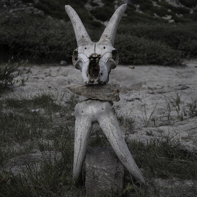 DSC_7518