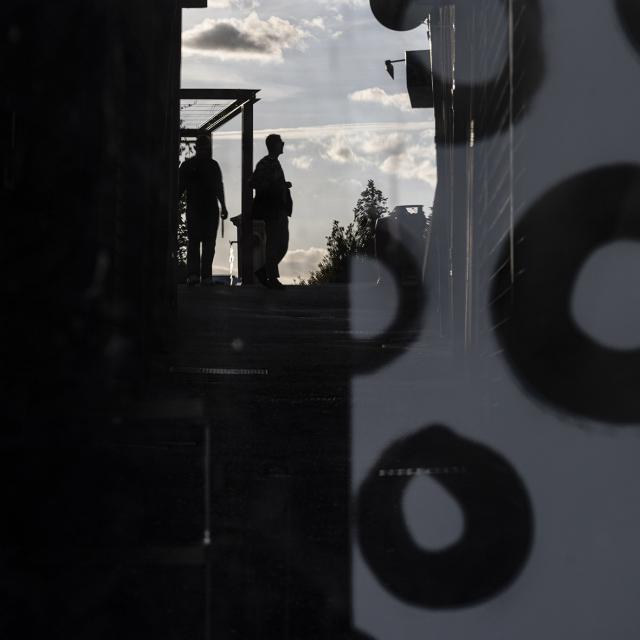 DSC_8573